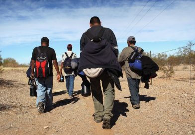 El trabajo de los Coyotes o Polleros El trabajo de los Coyotes o Polleros