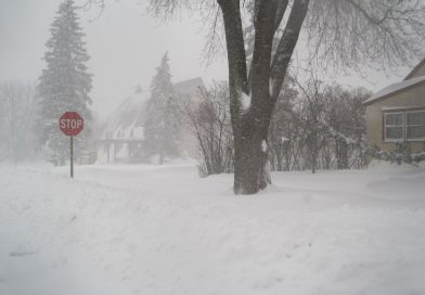 Llega la primer tormenta de Nieve a Minnesota