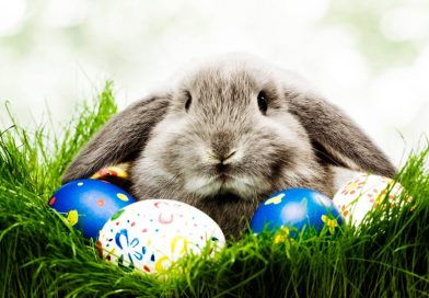 El conejo de Pascua, origen y tradición El conejo de Pascua, origen y tradición