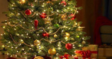 Sabes cuándo poner el árbol de Navidad?