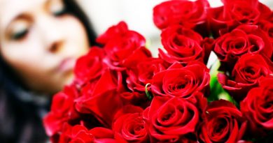 El Significado del Día de San Valentín (o Día del Amor y la Amistad)