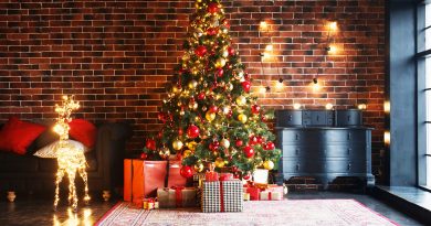 ¿Cuándo se debe poner el árbol de Navidad?